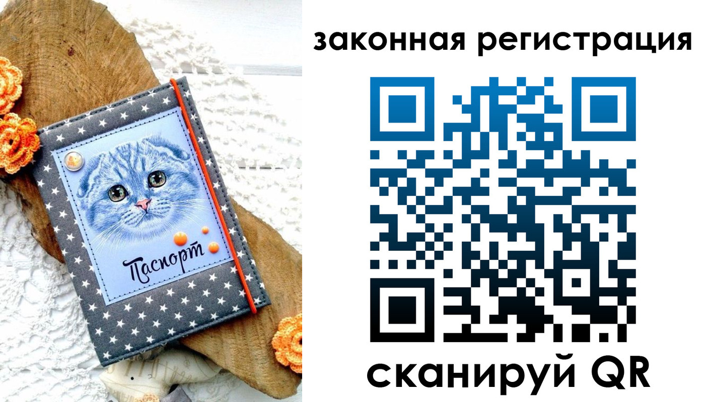 регистрация в Обояни